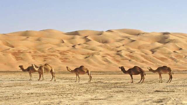 ASharqiyah Sands